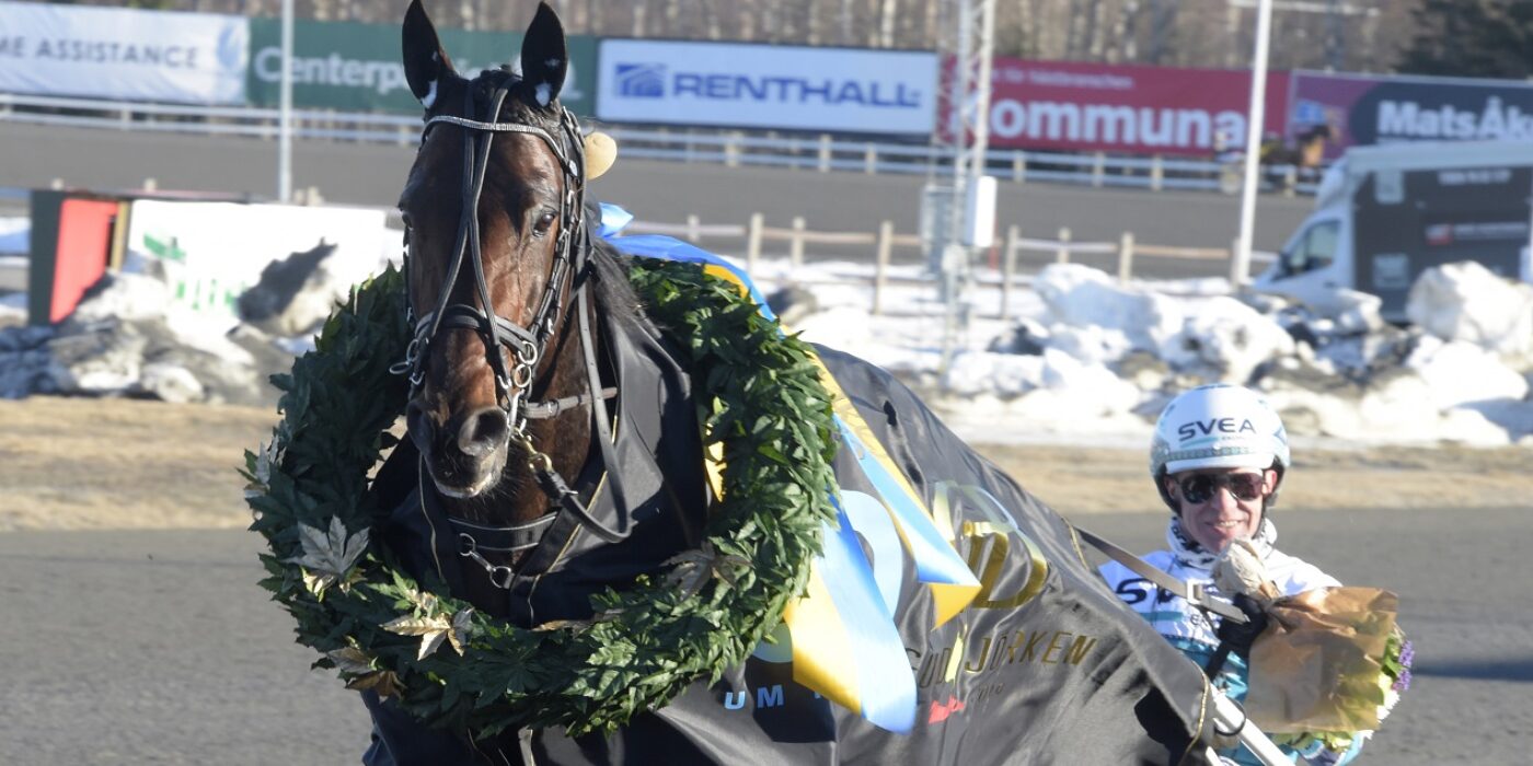 Guldbjörken: Dramatiskt för Propulsion