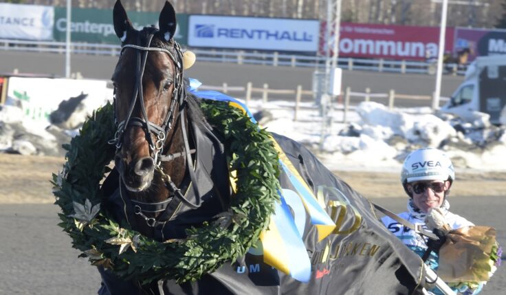 Guldbjörken: Dramatiskt för Propulsion