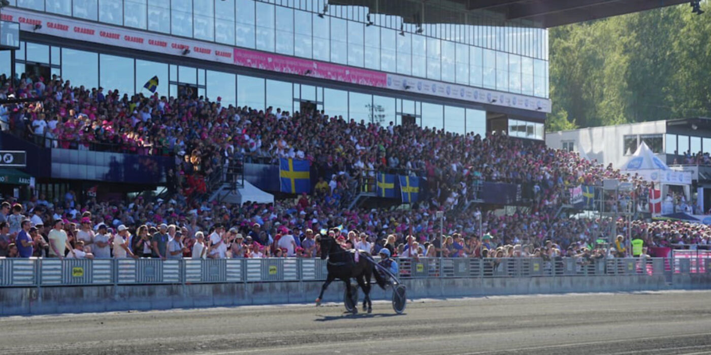 TRE HÄSTAR KVAR I FOLKETS HÄST