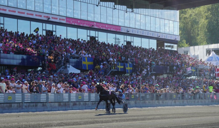 TRE HÄSTAR KVAR I FOLKETS HÄST