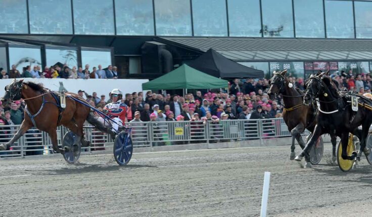 Queer Fish spurtade hem Sweden Cup 2019