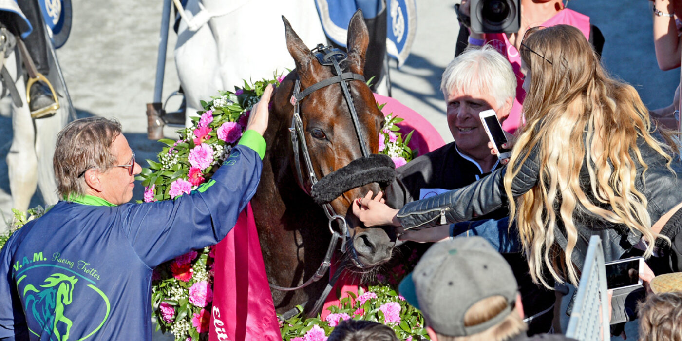 Startlistor och fakta om hästarna