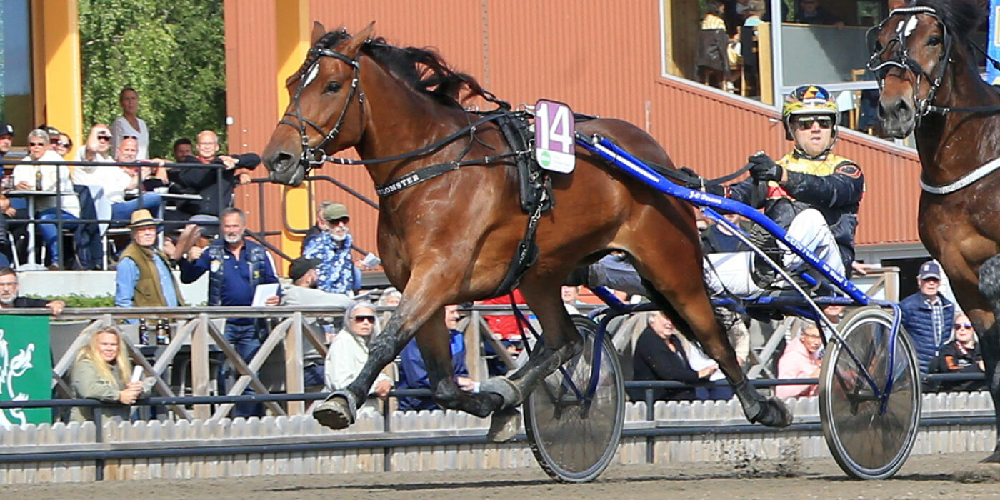 TRE FÖRSTA HÄSTARNA KLARA TILL ELITKAMPEN 2023