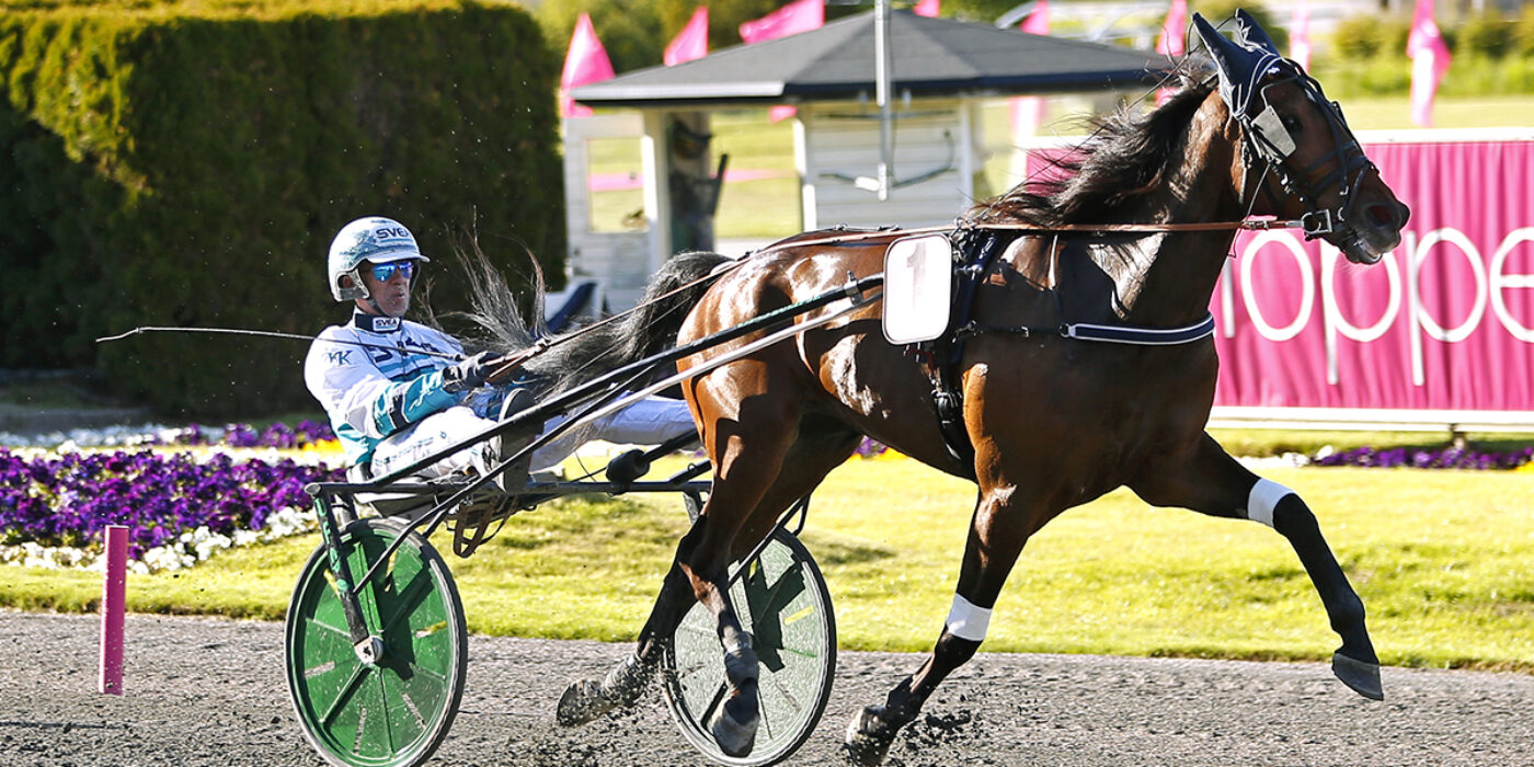 SEISMIC WAVE KLAR FÖR ELITLOPPET 2021