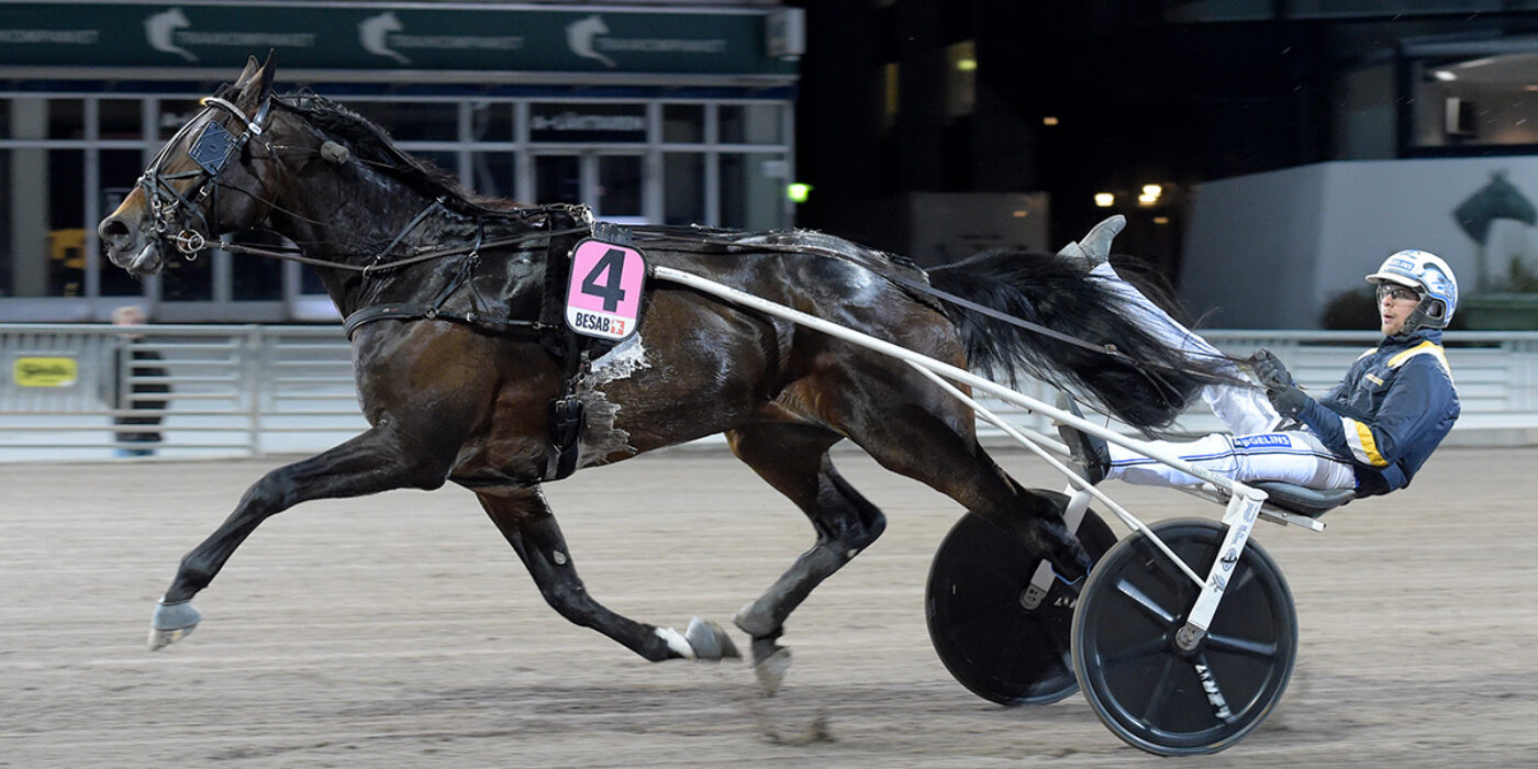 SNOWSTORM HANOVER KLAR FÖR ELITLOPPET 2022