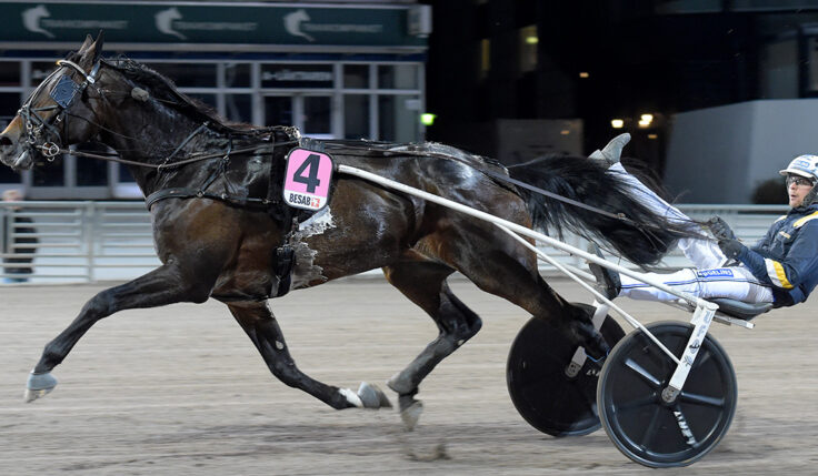 SNOWSTORM HANOVER KLAR FÖR ELITLOPPET 2022