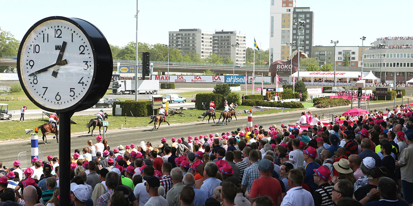 ELITLOPPSHELGENS HÅLLTIDER OCH PUBLIKOMRÅDEN