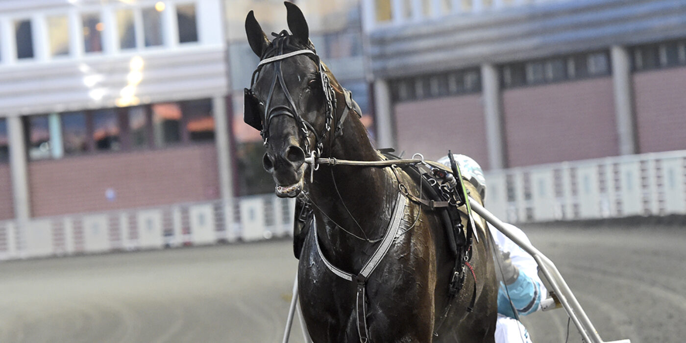 SORBET KLAR FÖR ELITLOPPET 2020