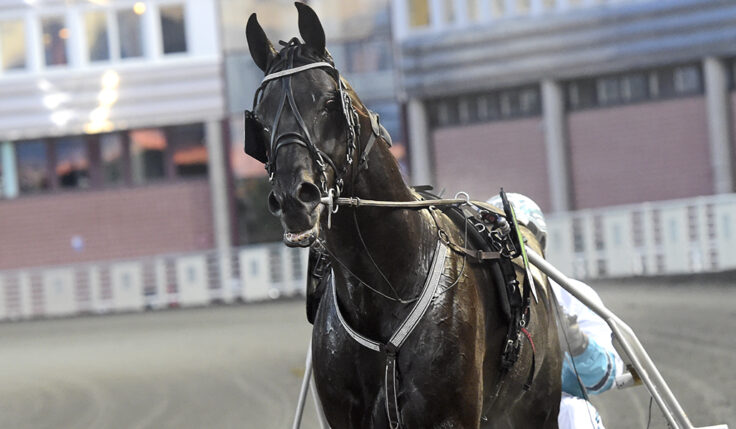 SORBET KLAR FÖR ELITLOPPET 2020