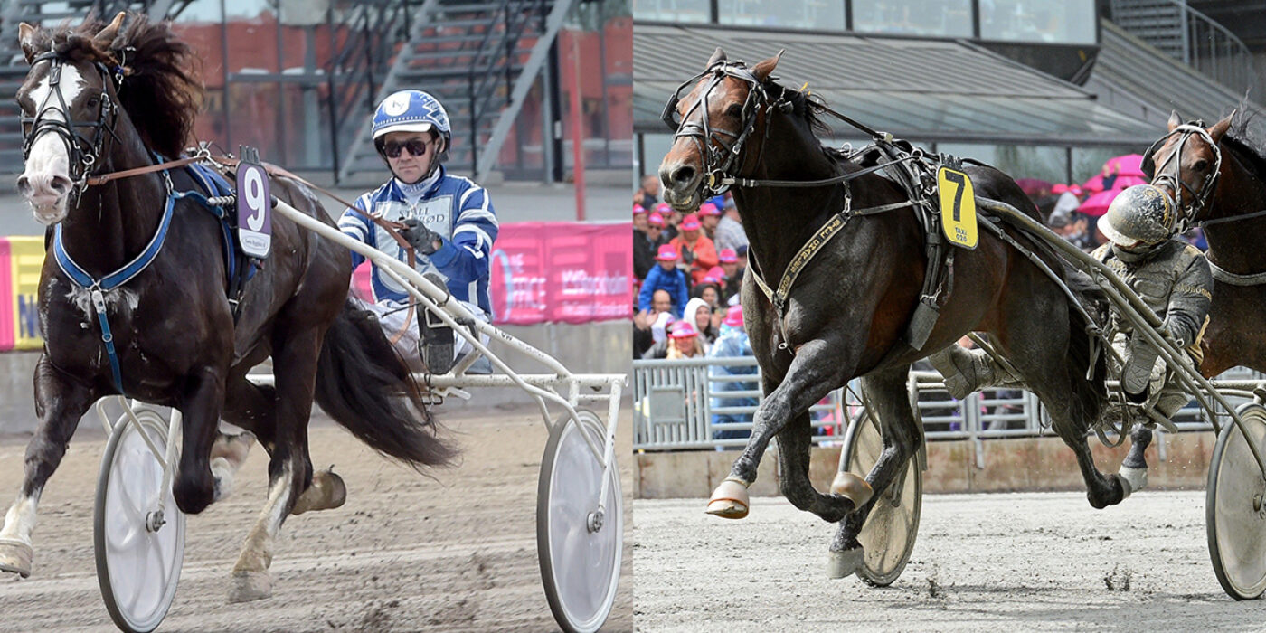 HÄSTARNA KLARA TILL SPEEDRACE 2022 PÅ SOLVALLA