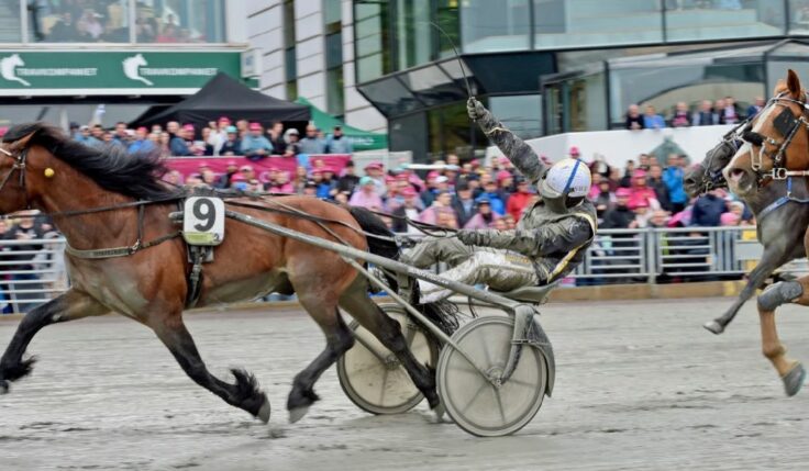 Tangen Haap vinnare i Elitkampen