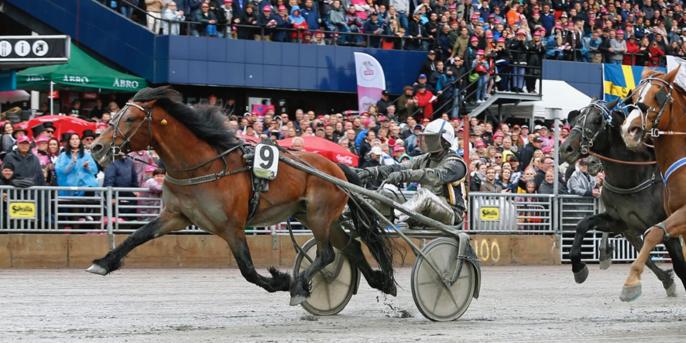 TRE FÖRSTA HÄSTARNA KLARA FÖR ELITKAMPEN