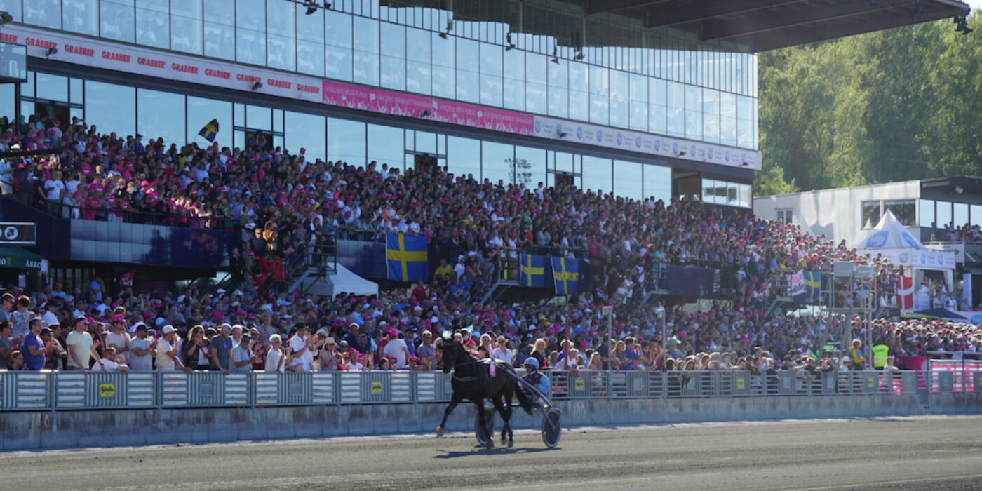 ELITLOPPSMÅLET: EN TRYGG FOLKFEST!