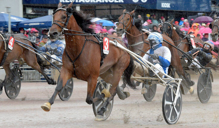 USAIN TÖLL KLAR FÖR ELITLOPPET 2023