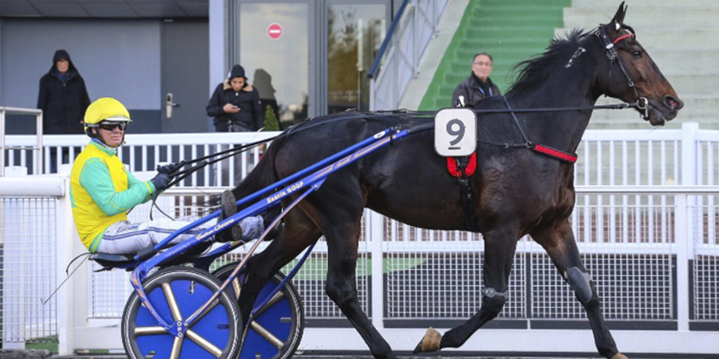 VIVID WISE AS KLAR FÖR ELITLOPPET 2020