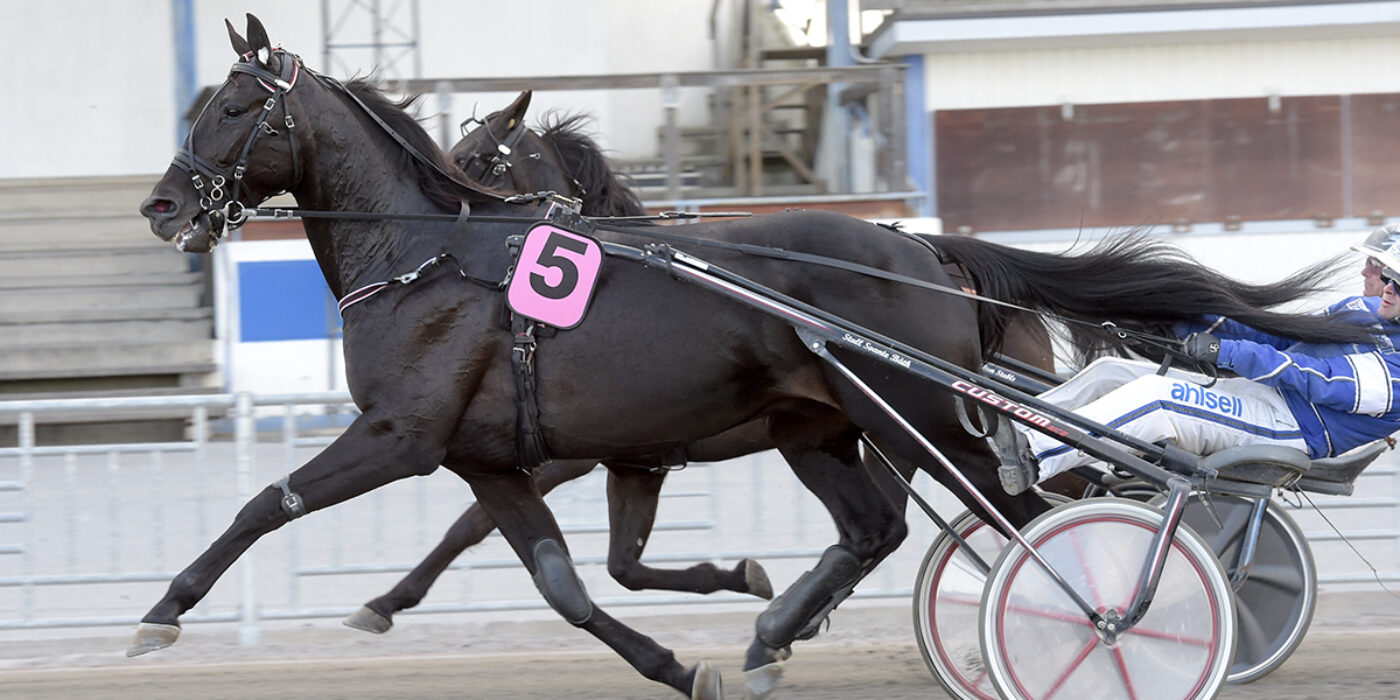 VERY KRONOS KLAR FÖR ELITLOPPET 2021