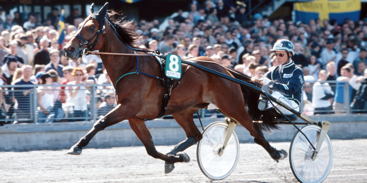 STIG H JOHANSSONS POKAL – NYTT PRIS I ELITLOPPET