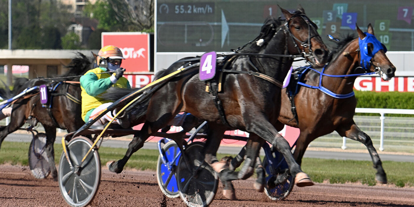 VIVID WISE AS KLAR FÖR ELITLOPPET 2021