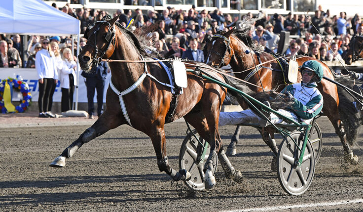 WHO’S WHO KLAR FÖR ELITLOPPET 2022