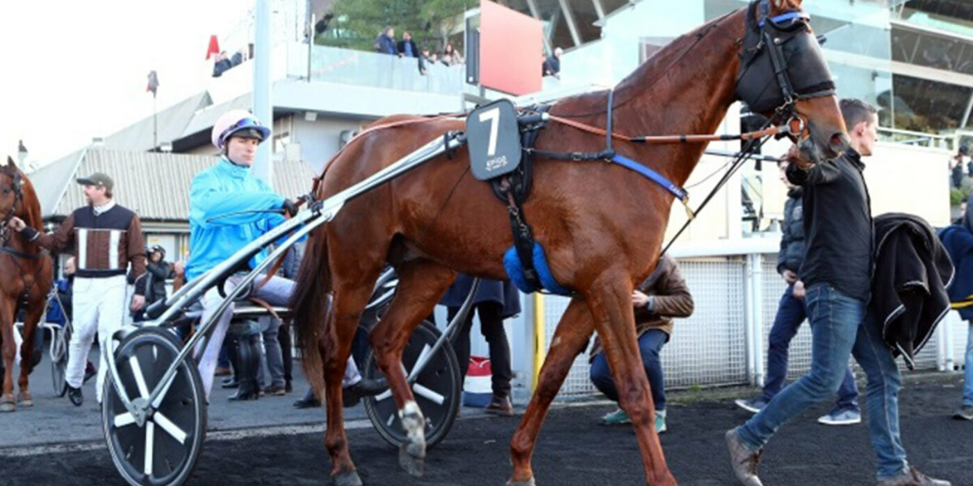 Carat Williams har repat nytt mod