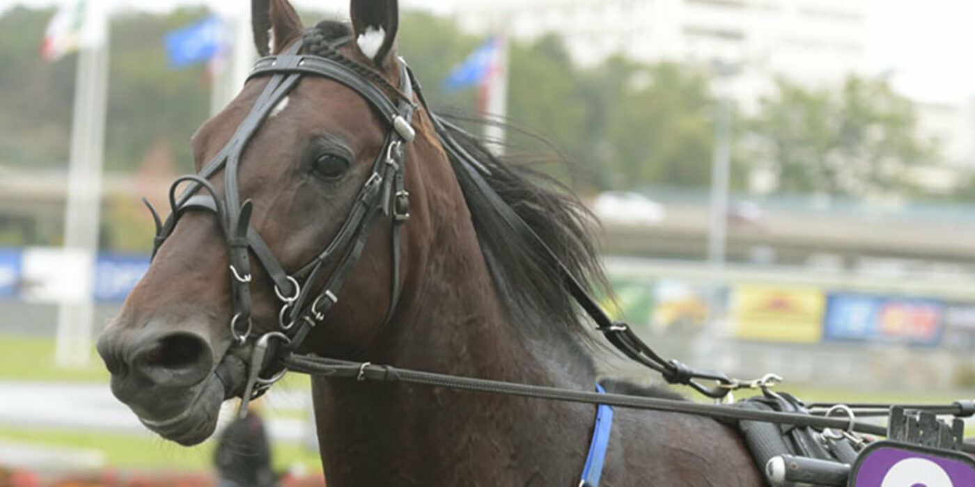 Cokstile inbjuden till Elitloppet