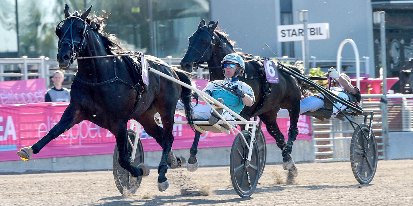 DON FANUCCI ZET TILL ELITLOPPET 2022