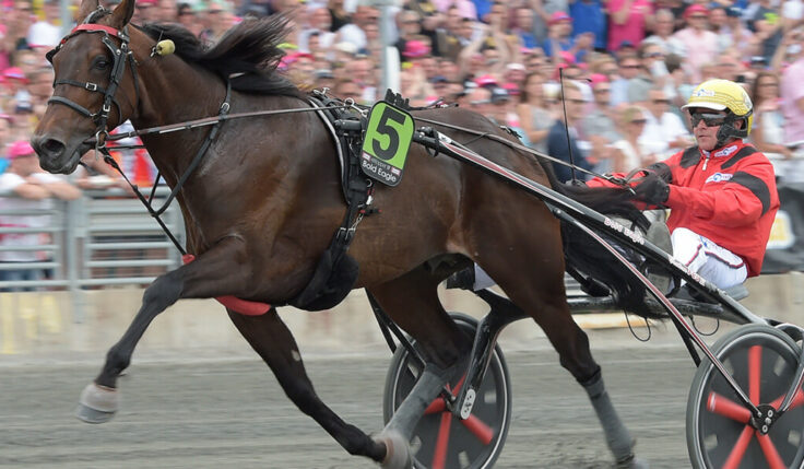 Elitloppsfältet 2018