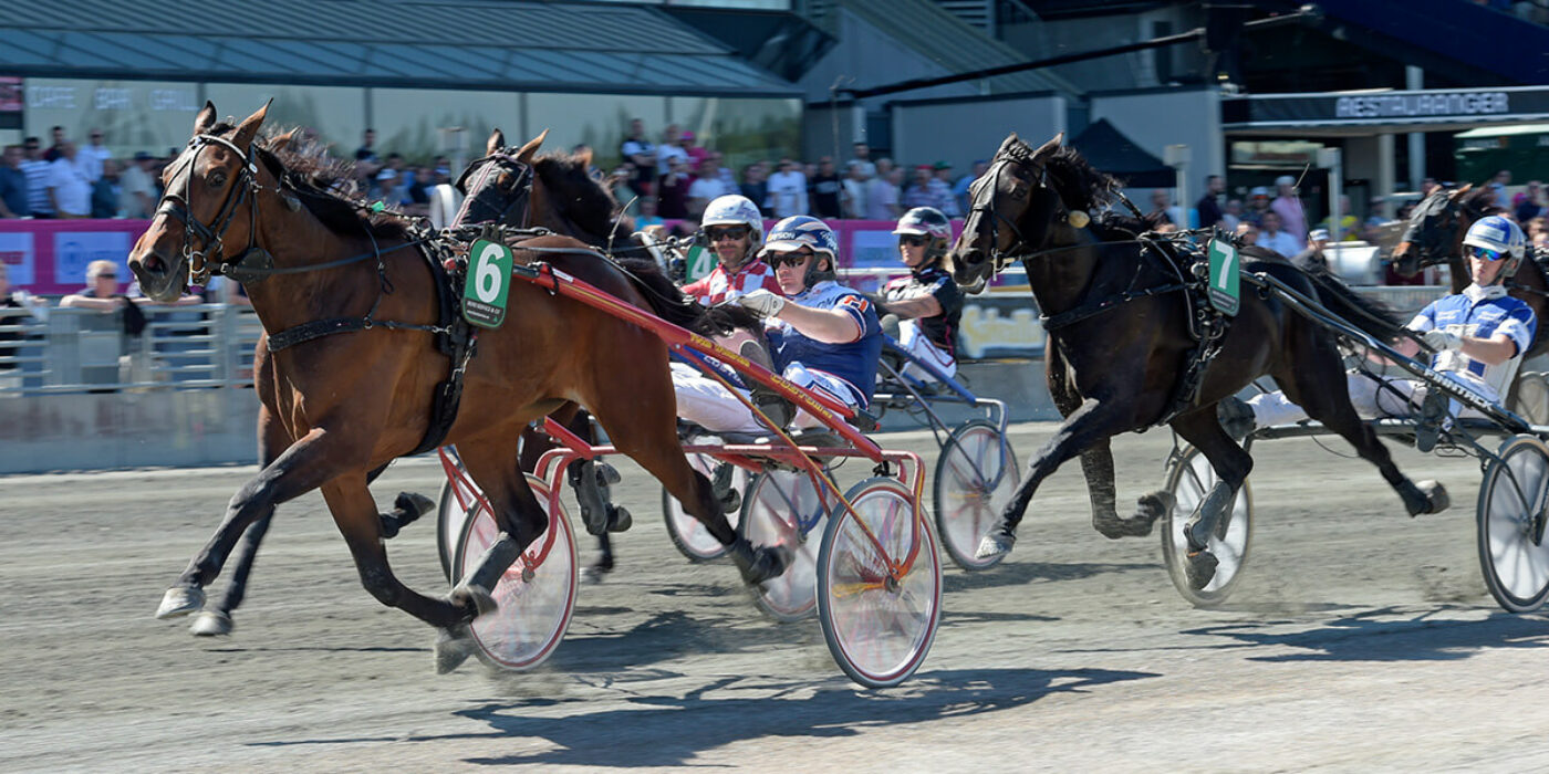 Elitloppsfesten är igång