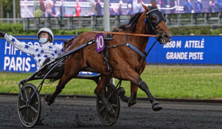 GO ON BOY KLAR FÖR ELITLOPPET 2023