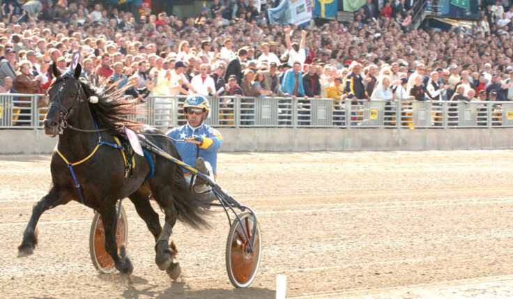 Storsatsning på kallblodens Elitlopp