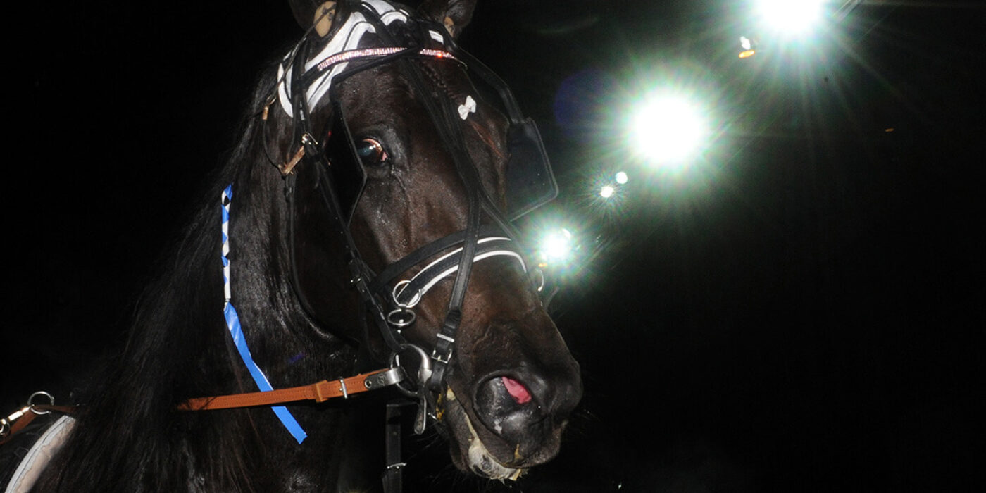 Conrad och Claes var också vinnare idag