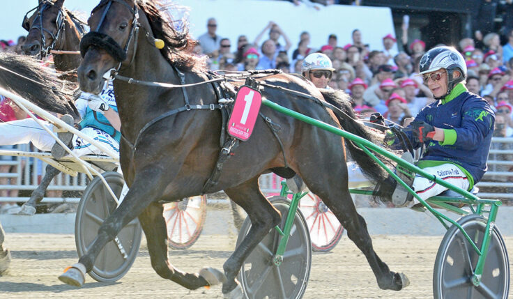 Elitloppet till Ringostarr Treb