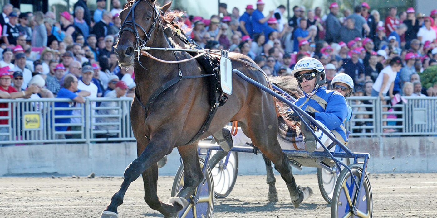 V75 söndag: Giveitgasandgo tryckte plattan i mattan