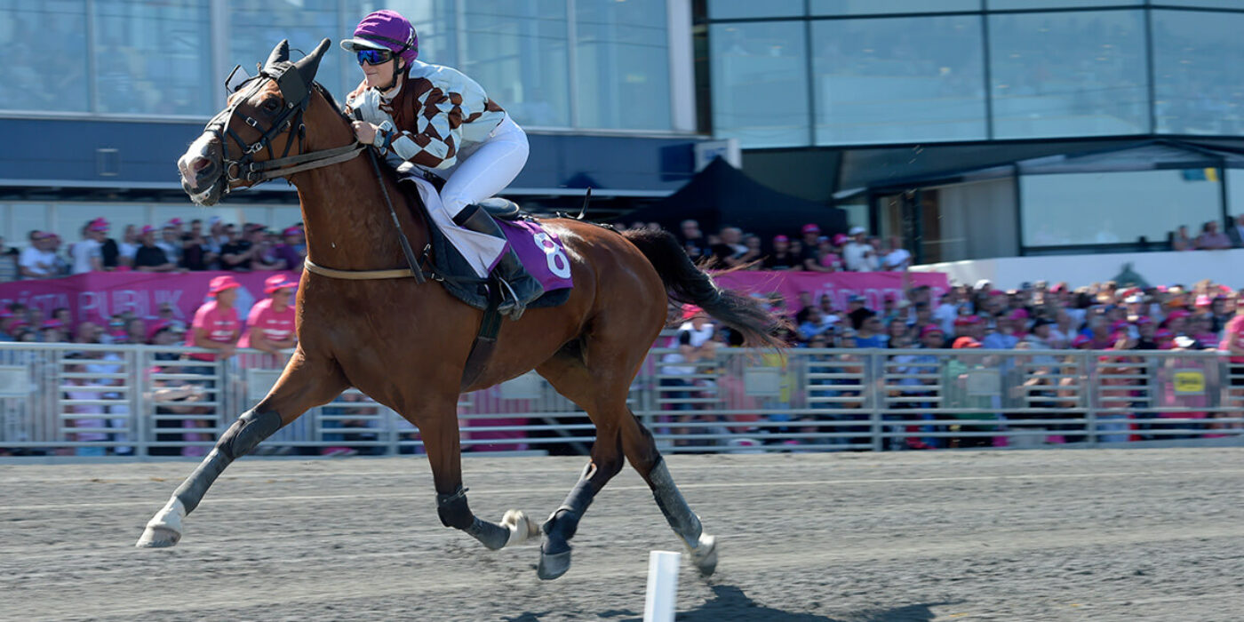 Världsrekord i Montéeliten