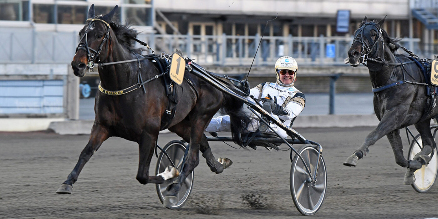 ÖNAS PRINCE KLAR FÖR ELITLOPPET 2022