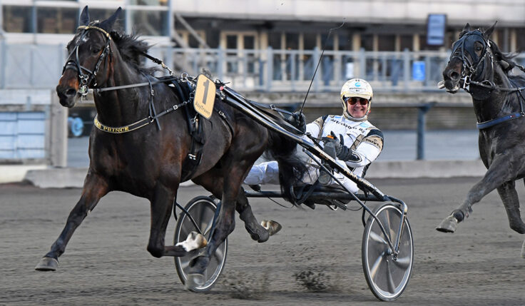 ÖNAS PRINCE KLAR FÖR ELITLOPPET 2022