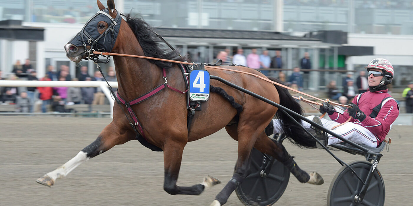 Rajesh Face inbjuden till Elitloppet