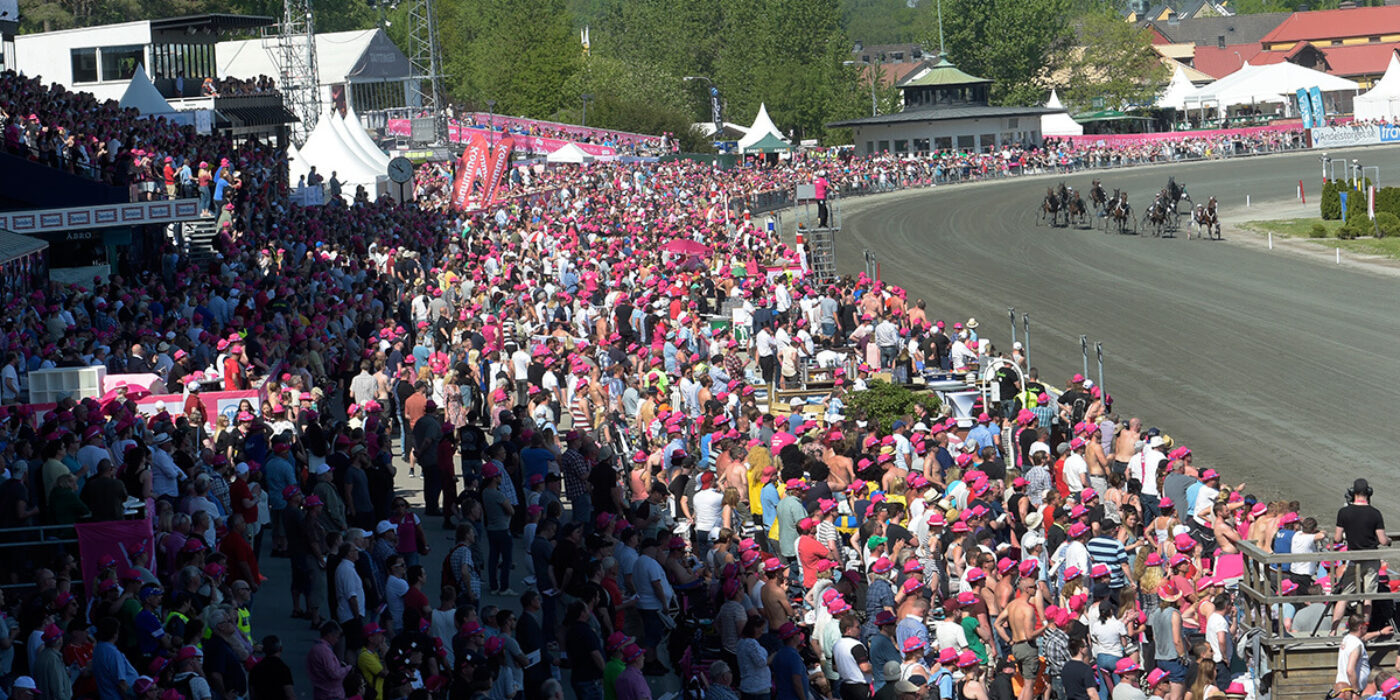 Saker du (kanske) inte visste om Elitloppet
