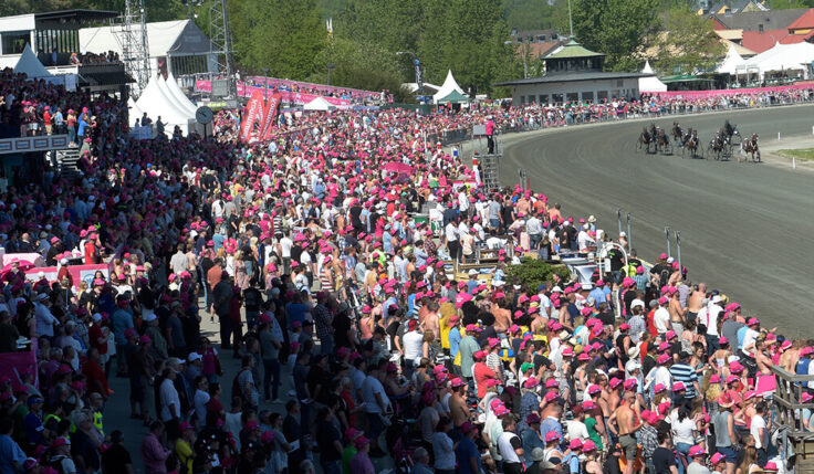 Saker du (kanske) inte visste om Elitloppet