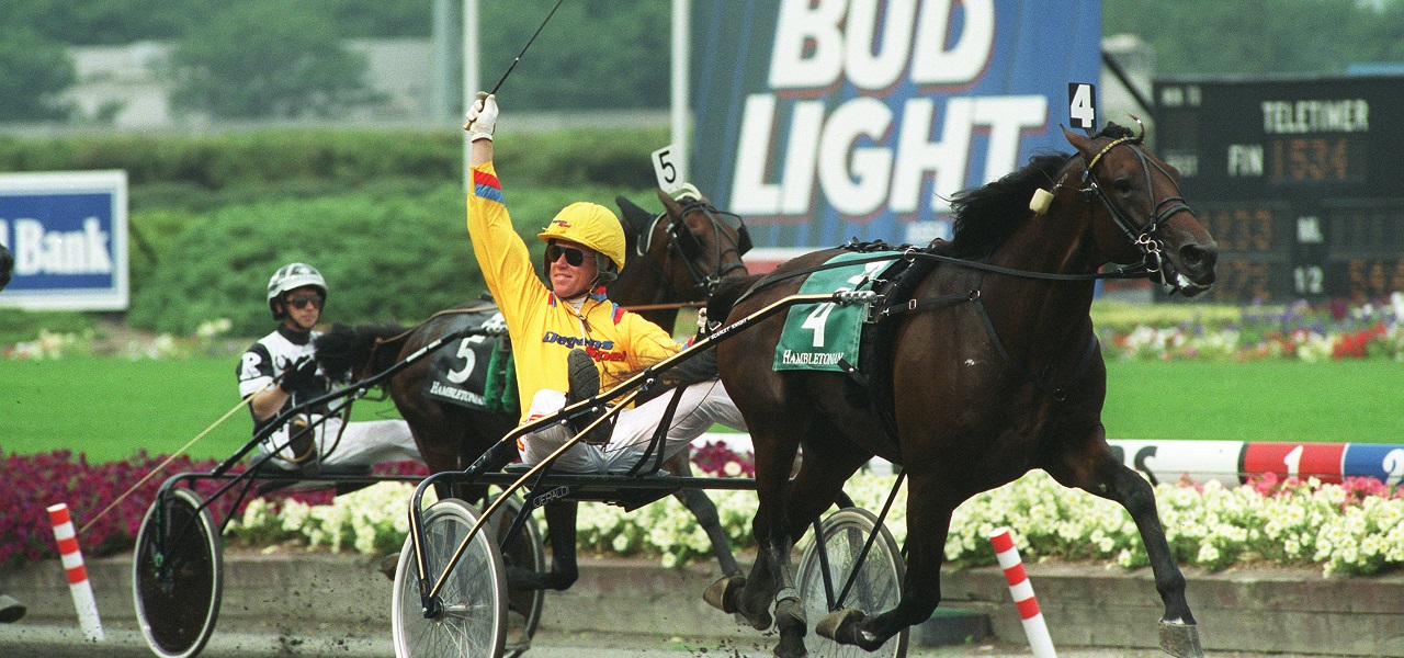 SCARLET KNIGHT HAMBLETONIAN