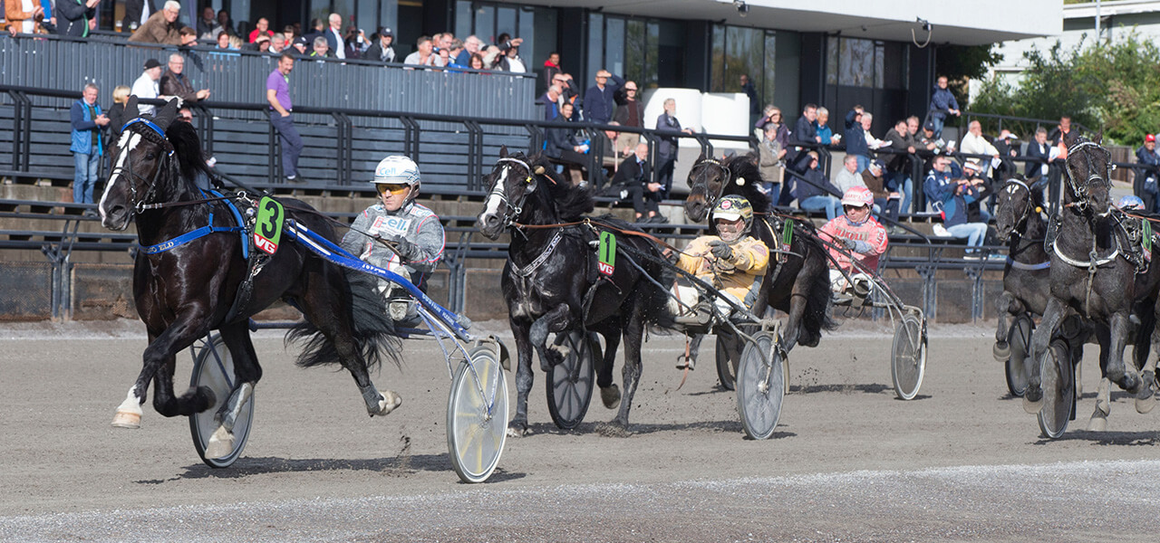 nyhet v75 bjerke historisk syskondubbel 2