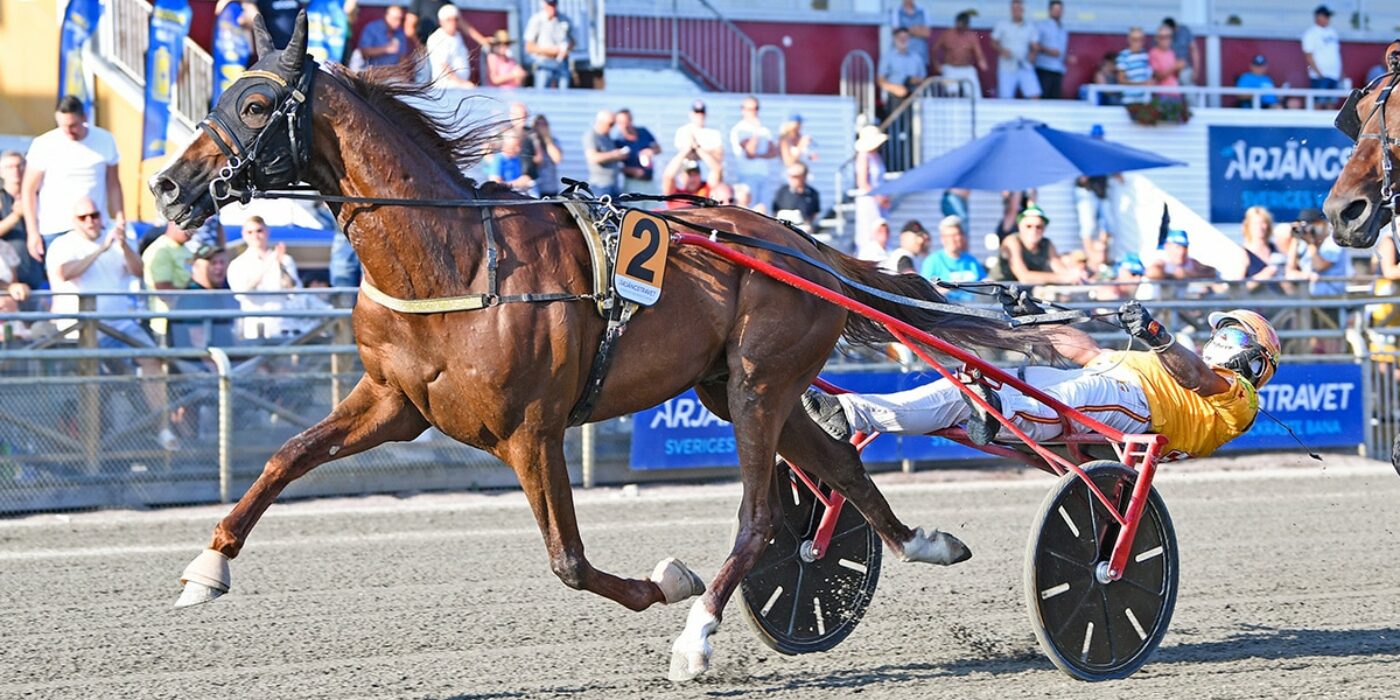 VERNISSAGE GRIF KLAR FÖR ELITLOPPET 2022