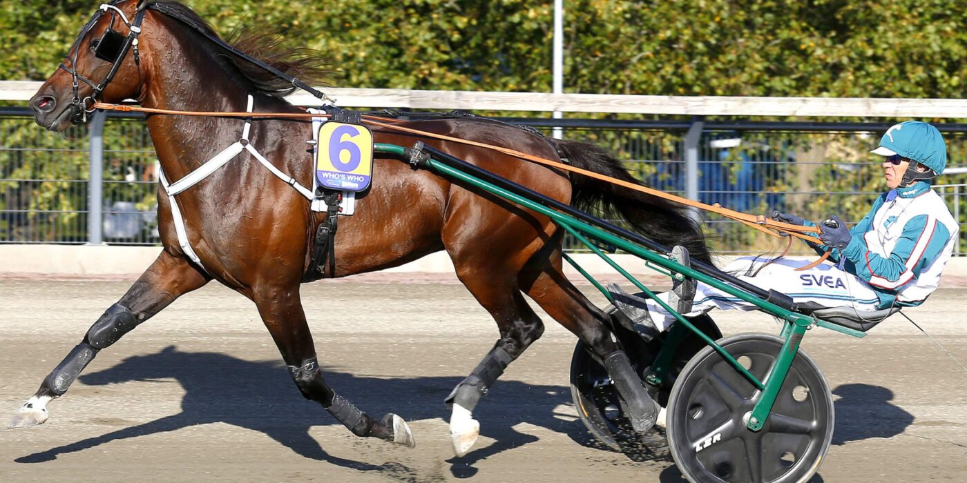 MÅNADENS HÄSTÄGARE &#8211; JUNI 2021