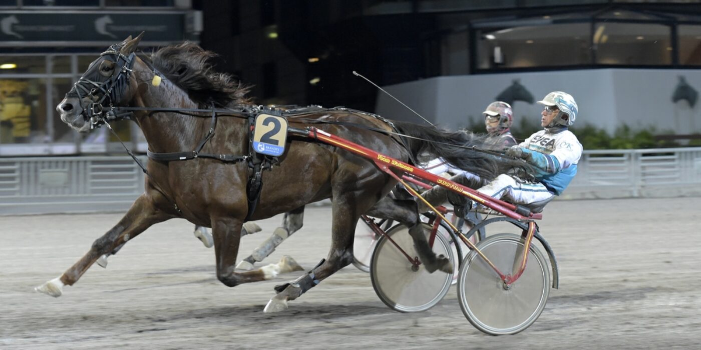 MÅNADENS HÄSTÄGARE &#8211; SEPTEMBER 2021