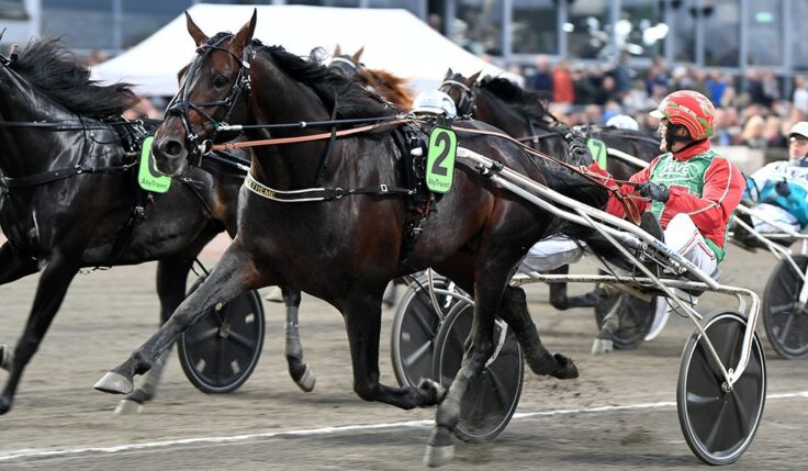 EXTREME TILL ELITLOPPET 2022