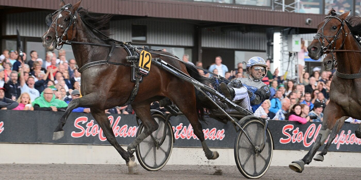 ANDELSTIPSET &#8211; V75