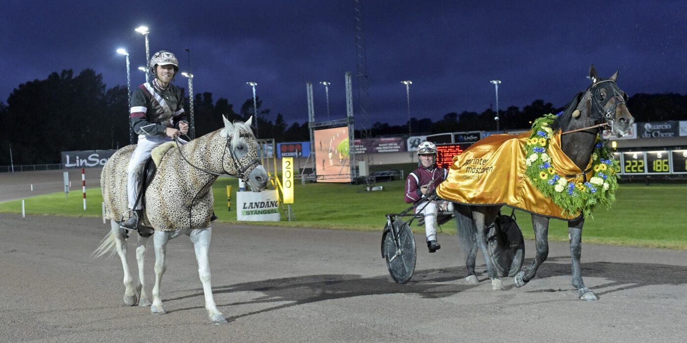 ANDELSTIPSET &#8211; V75