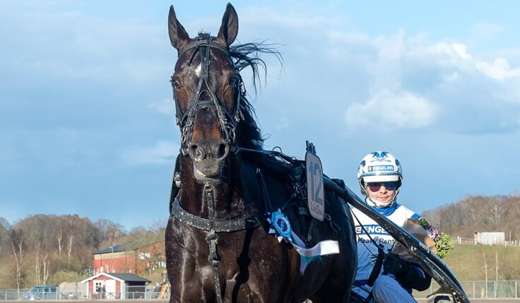 AETOS KRONOS KLAR FÖR ELITLOPPET 2021