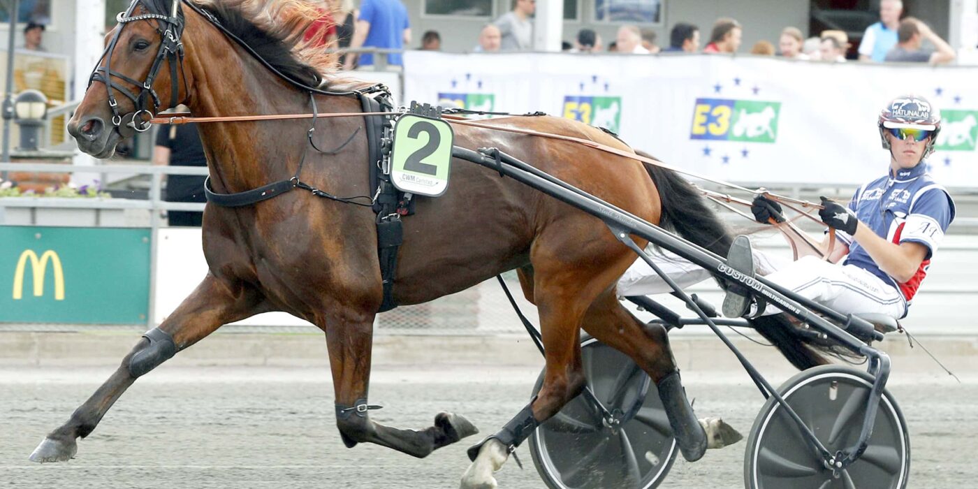 MÅNADENS HÄSTÄGARE &#8211; JULI 2021