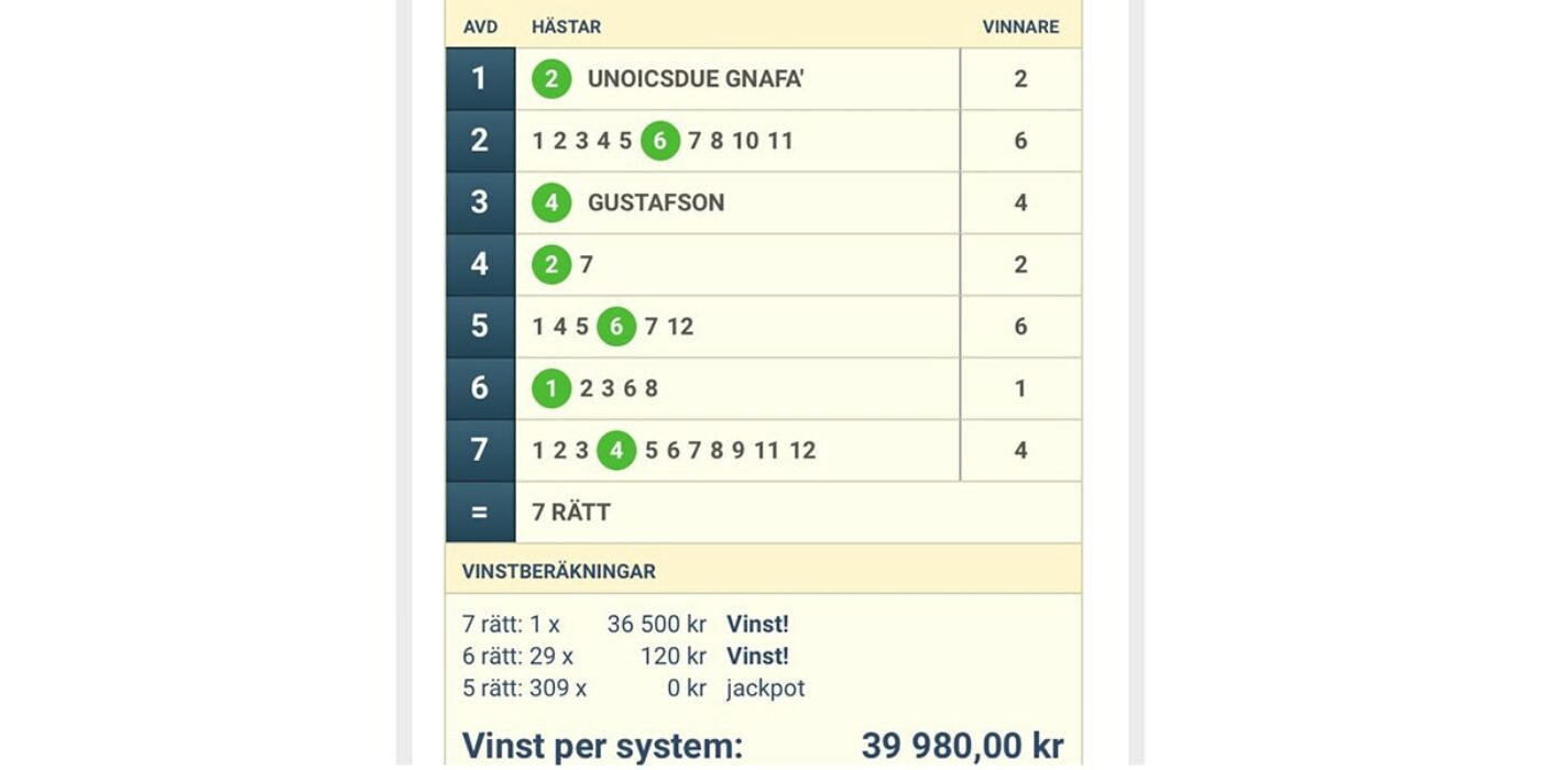 SJU RÄTT FÖR SOLVALLAS TIPSEXPERT